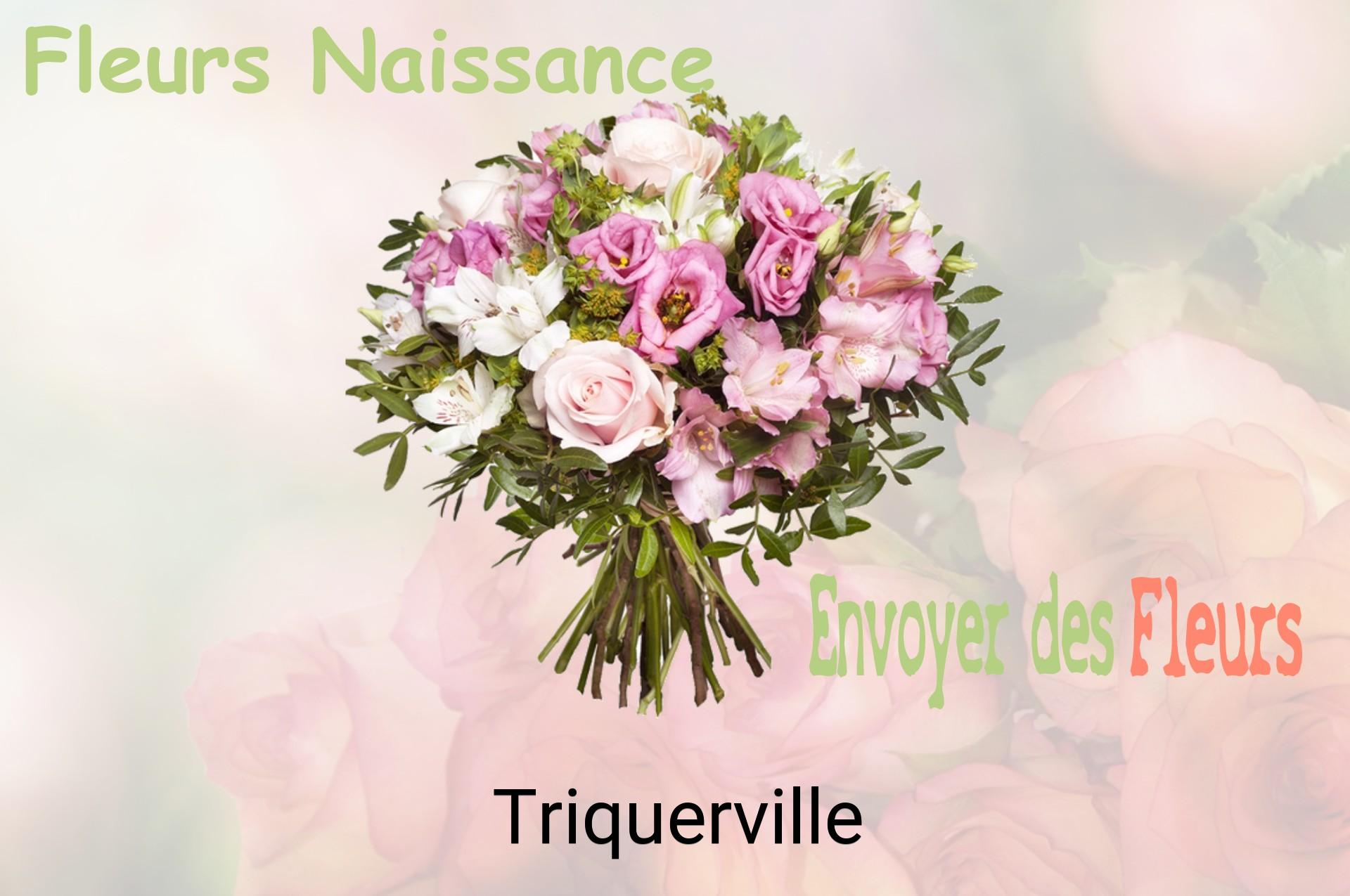 Bouquet de fleurs de naissance livré à Triquerville